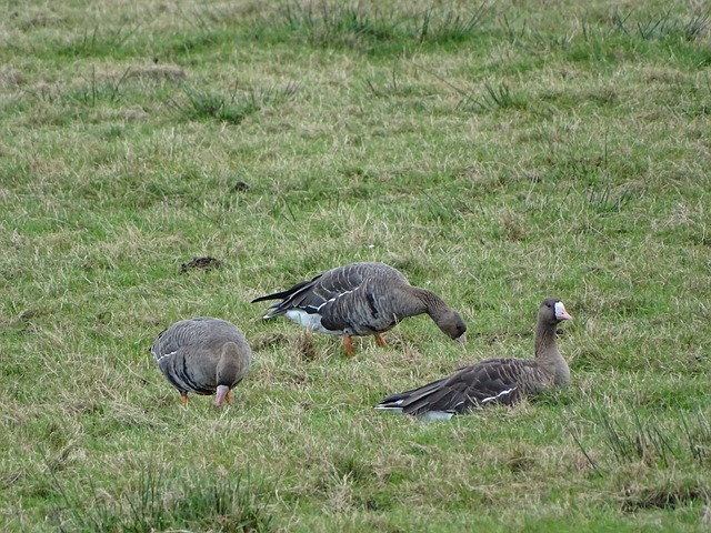 杂环境下进 杂环境下进