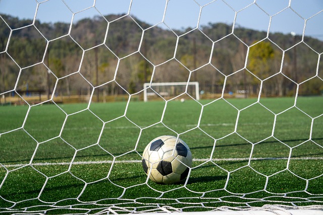 是各国体育 是各国体育