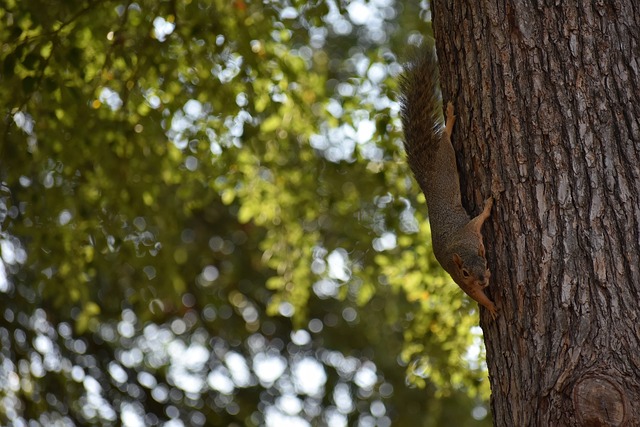 俱乐部近年 俱乐部近年